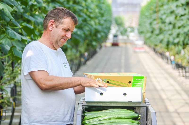 Solid board packaging - Smart Packaging Solutions