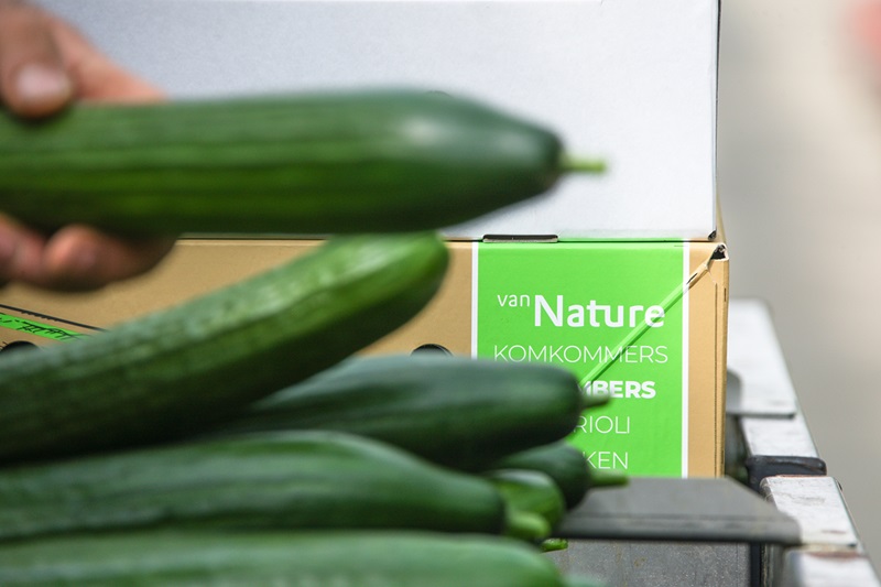 Solid board packaging - Smart Packaging Solutions