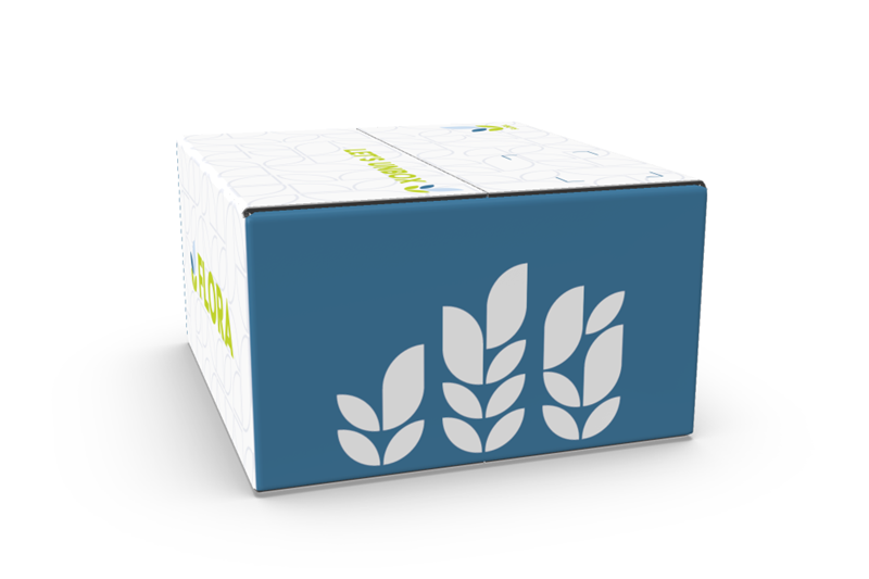 E-commerce Standard Right