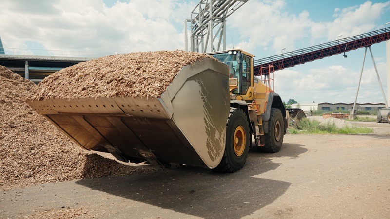 Biomass_Blue Paper (1)